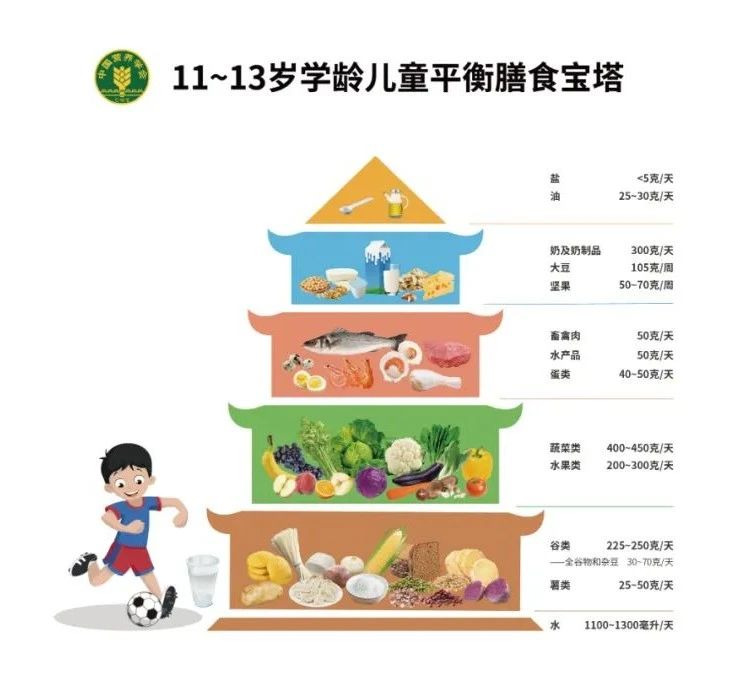 营养均衡