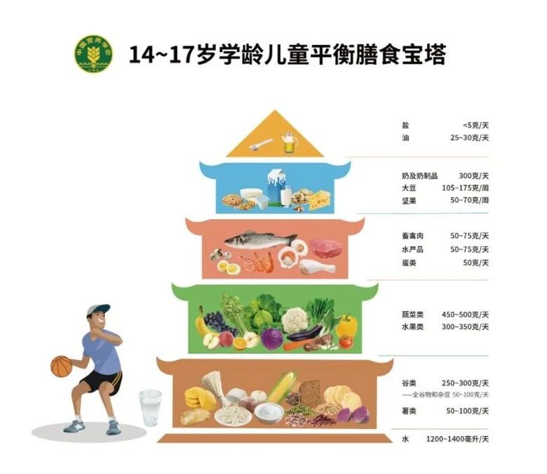 营养均衡